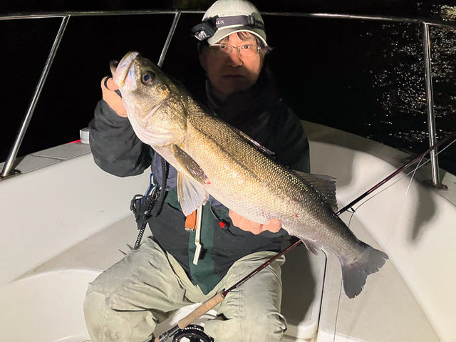 シーバス(スズキ)