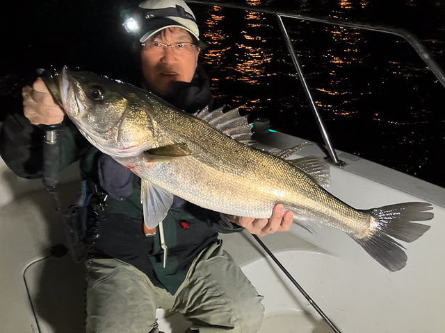 シーバス(スズキ)