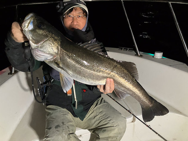 シーバス(スズキ)