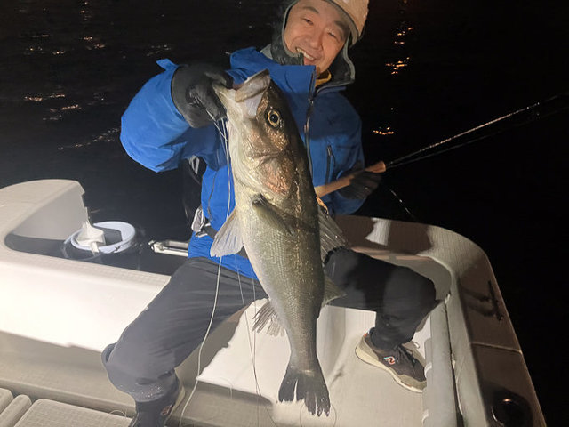 シーバス(スズキ)