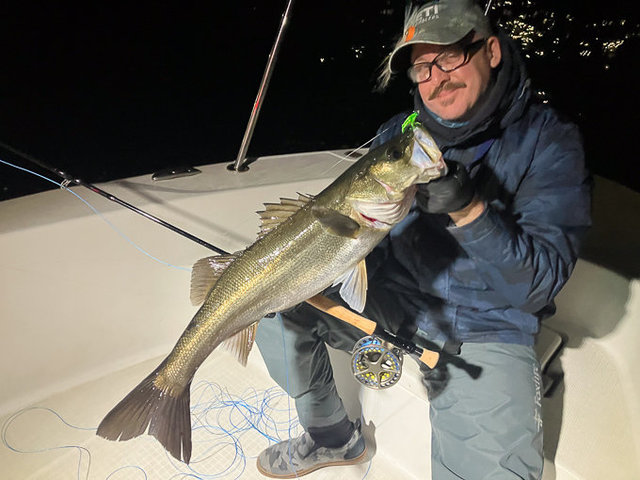 シーバス(スズキ)