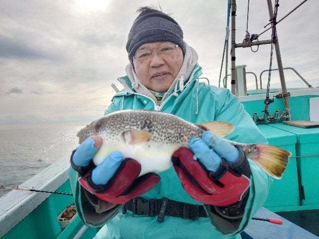 ショウサイフグ