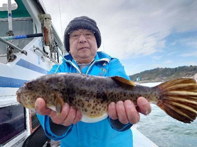 ヒガンフク(ヒガンフグ)