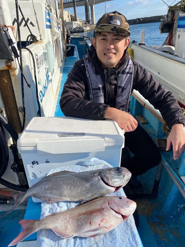 マダイ・メダイ