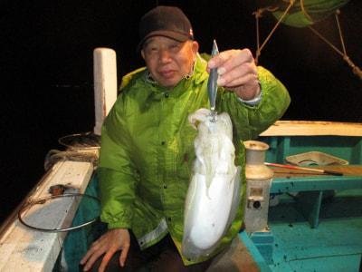 モンゴウイカ(カミナリイカ)