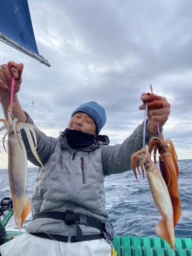 スルメ(スルメイカ)