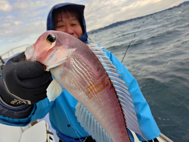 アマダイ(アカアマダイ)