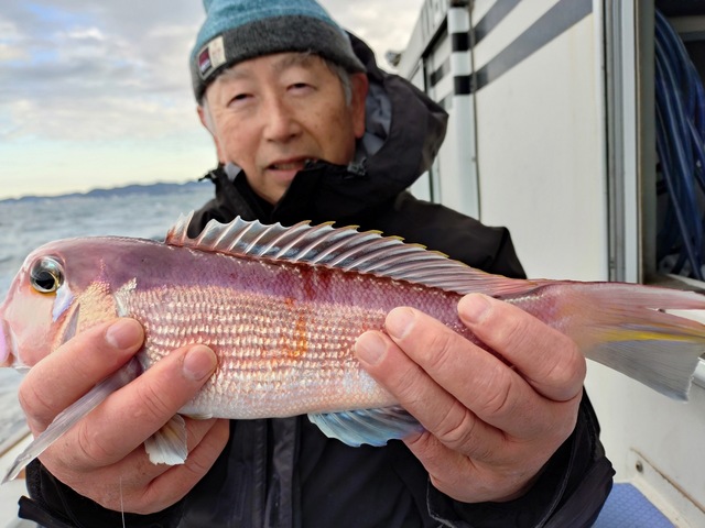 アマダイ(アカアマダイ)