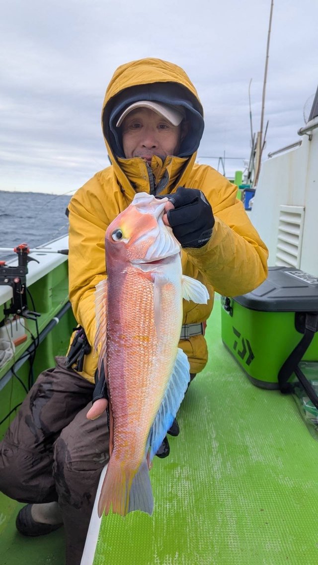 アマダイ(アカアマダイ)