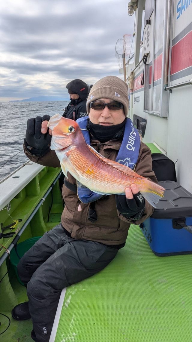 アマダイ(アカアマダイ)