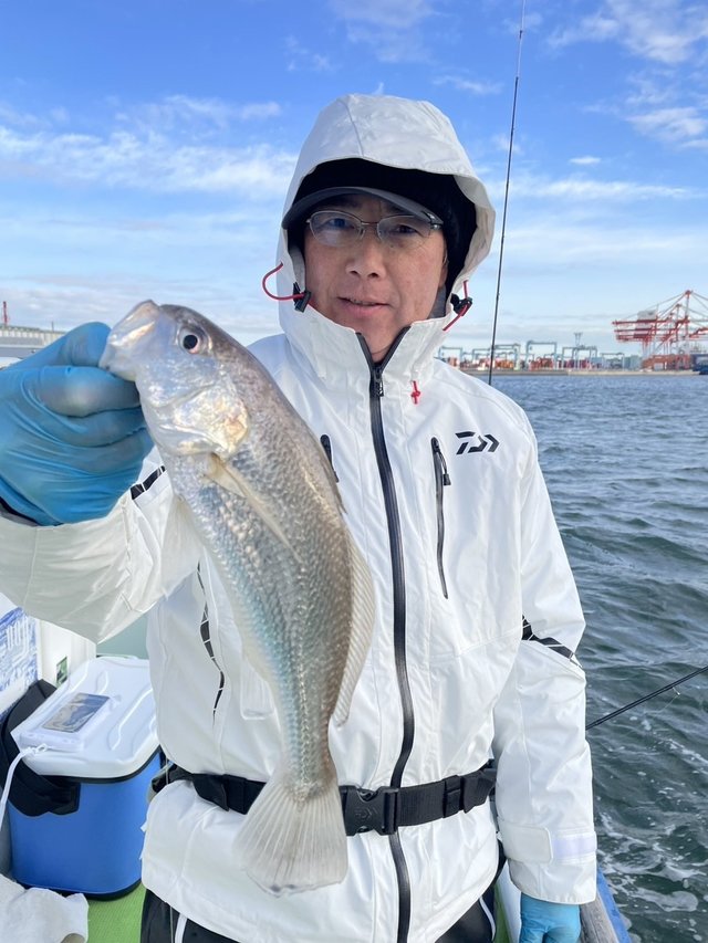 イシモチ(シログチ)