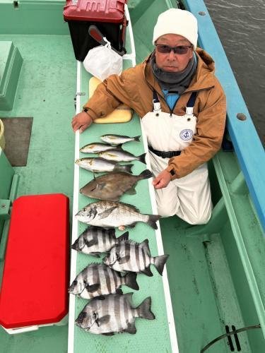 イシダイ・イサキ・ウマズラ(ウマヅラハギ)