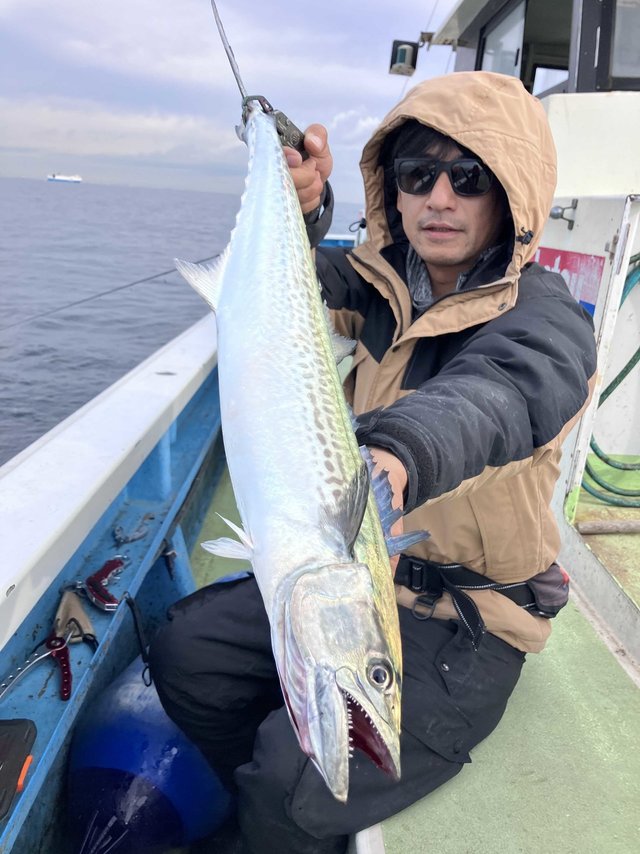 サゴシ(サワラ)