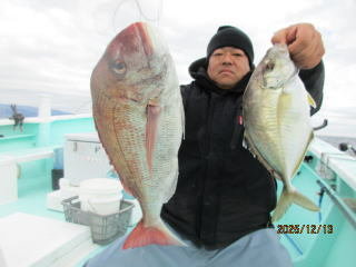 マダイ・カイワリ