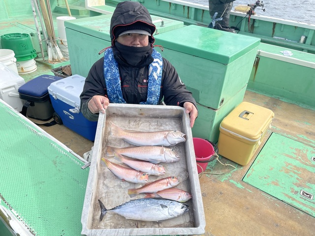 アマダイ(アカアマダイ)