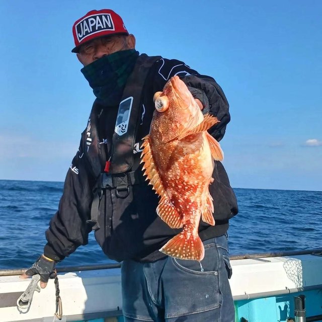 ウッカリカサゴ