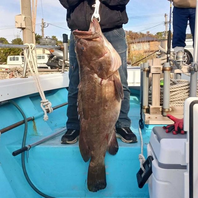 タカバ(マハタ)