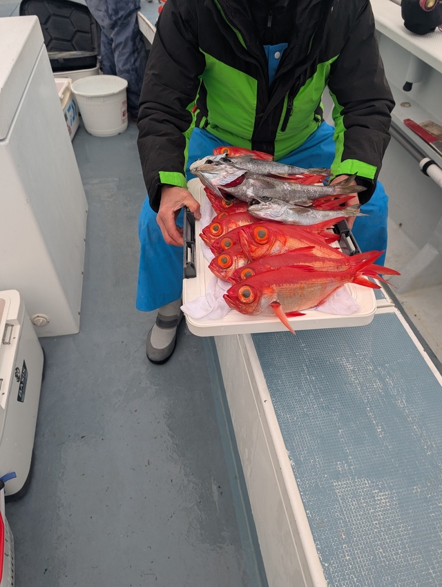 クロムツ・キンメダイ