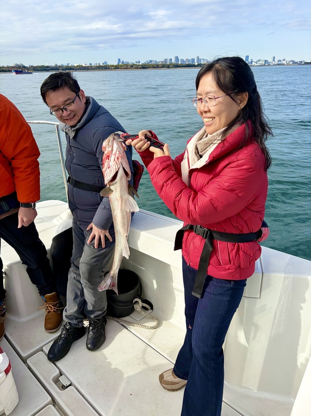 シーバス(スズキ)