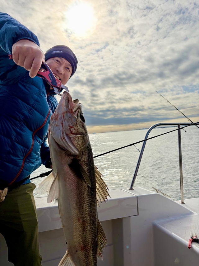 シーバス(スズキ)