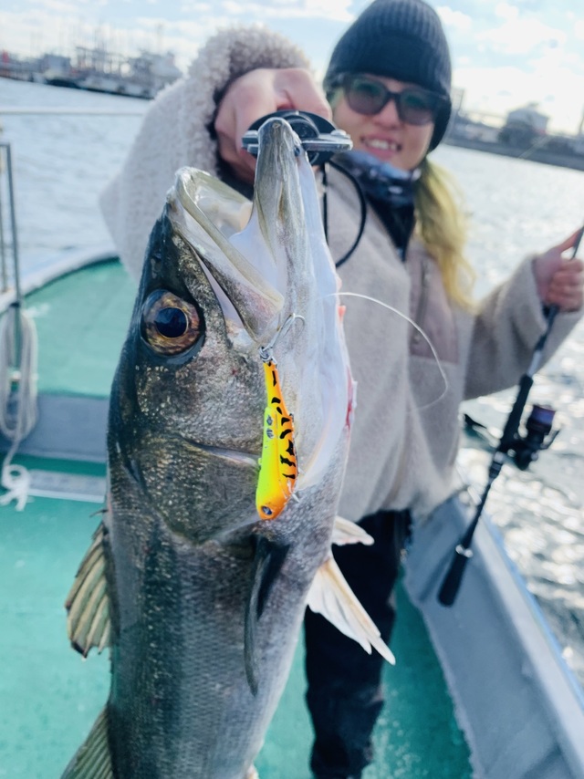 シーバス(スズキ)