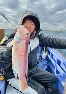 アマダイ(アカアマダイ)