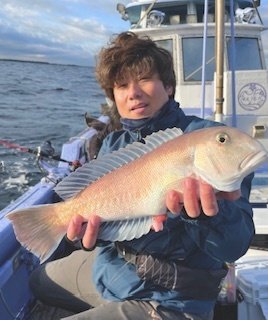 アマダイ(アカアマダイ)