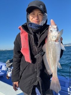 アマダイ(アカアマダイ)