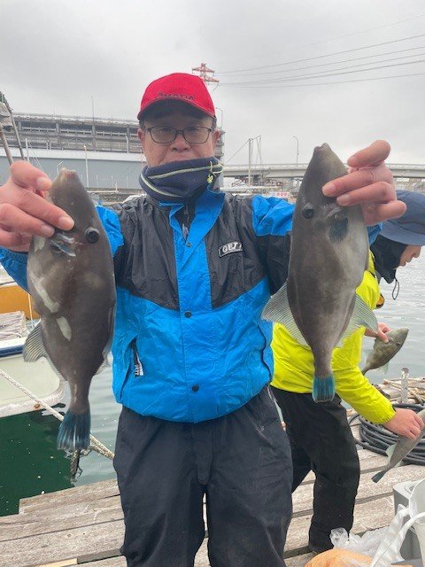 ウマヅラ(ウマヅラハギ)