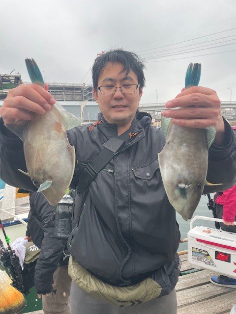 ウマヅラ(ウマヅラハギ)