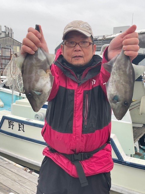 ウマヅラ(ウマヅラハギ)