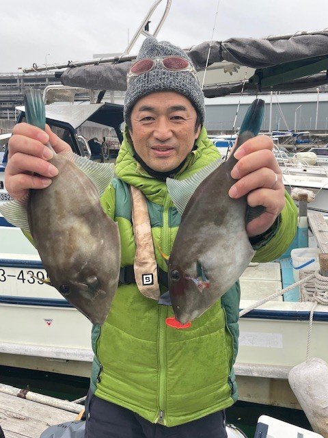 ウマヅラ(ウマヅラハギ)