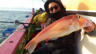 アマダイ(アカアマダイ)