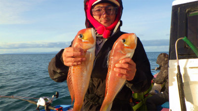 アマダイ(アカアマダイ)