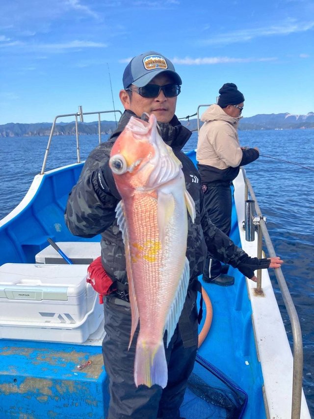 アマダイ(アカアマダイ)