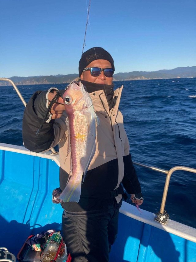 アマダイ(アカアマダイ)