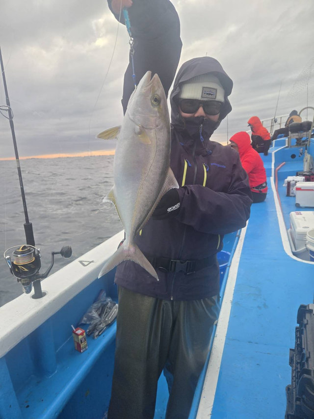 ショゴ(カンパチ)