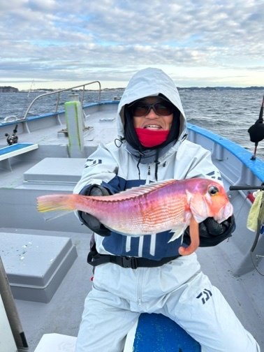 アマダイ(アカアマダイ)