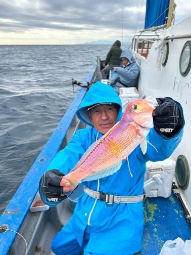 アマダイ(アカアマダイ)