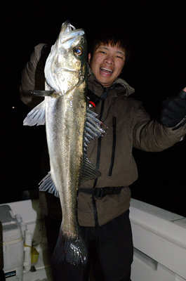 シーバス(スズキ)