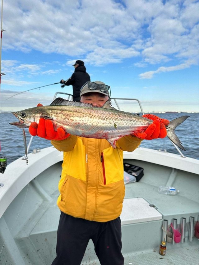 サゴシ(サワラ)