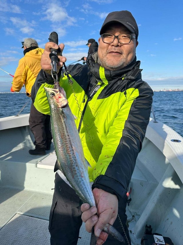 サゴシ(サワラ)