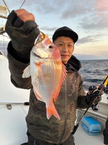 レンコダイ(キダイ)