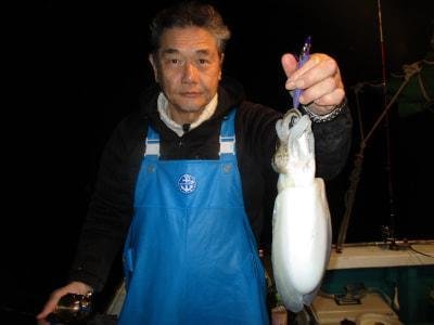 モンゴウイカ(カミナリイカ)