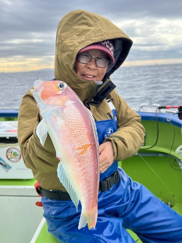 アマダイ(アカアマダイ)