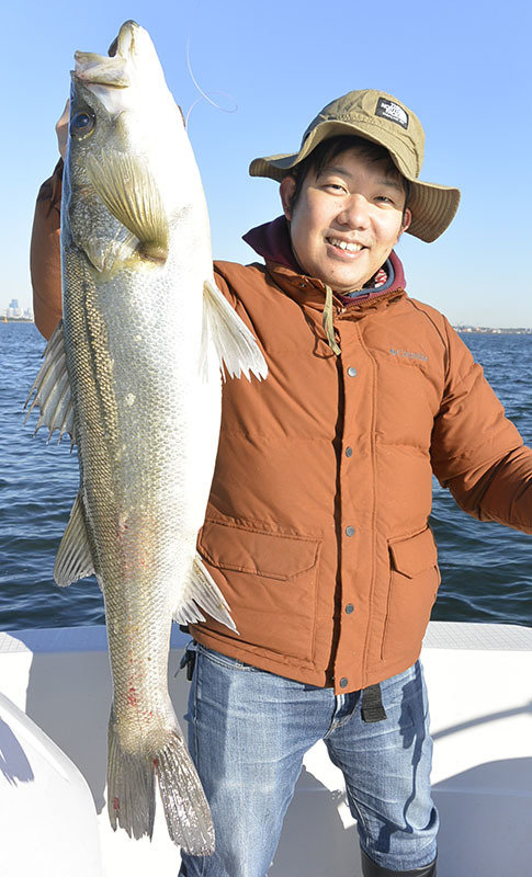 シーバス(スズキ)