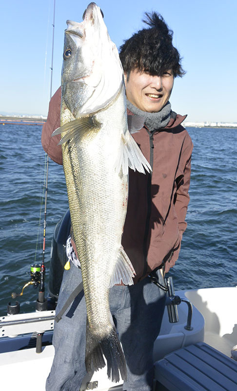 シーバス(スズキ)