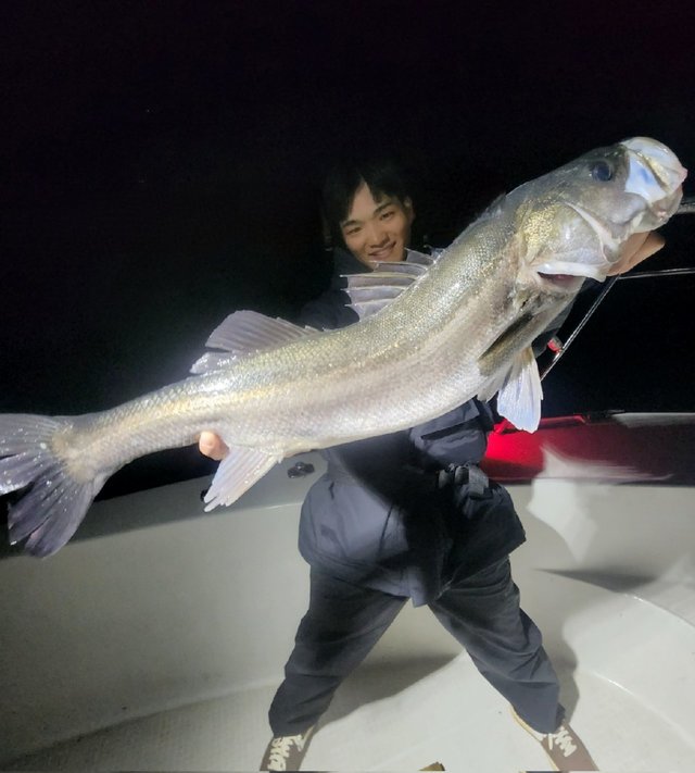 シーバス(スズキ)