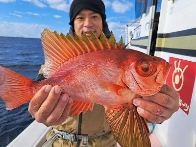 キントキ(チカメキントキ)