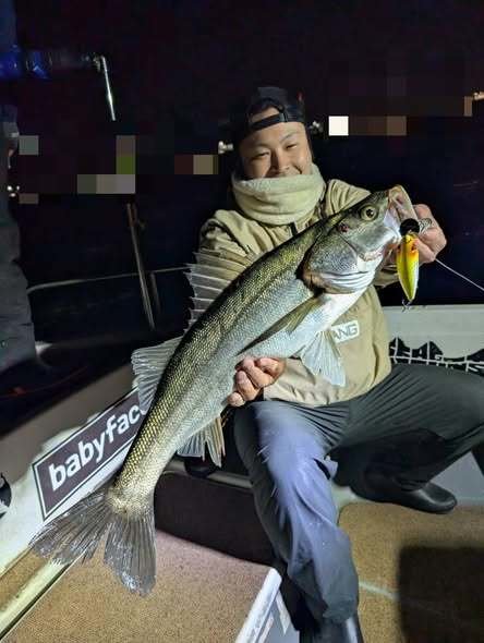 シーバス(スズキ)